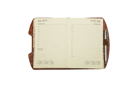 Saturn Diary VIVA#28 (A5)