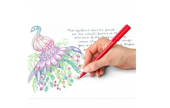 Staedtler Triangular Ball Pen Set Of 10 Colours