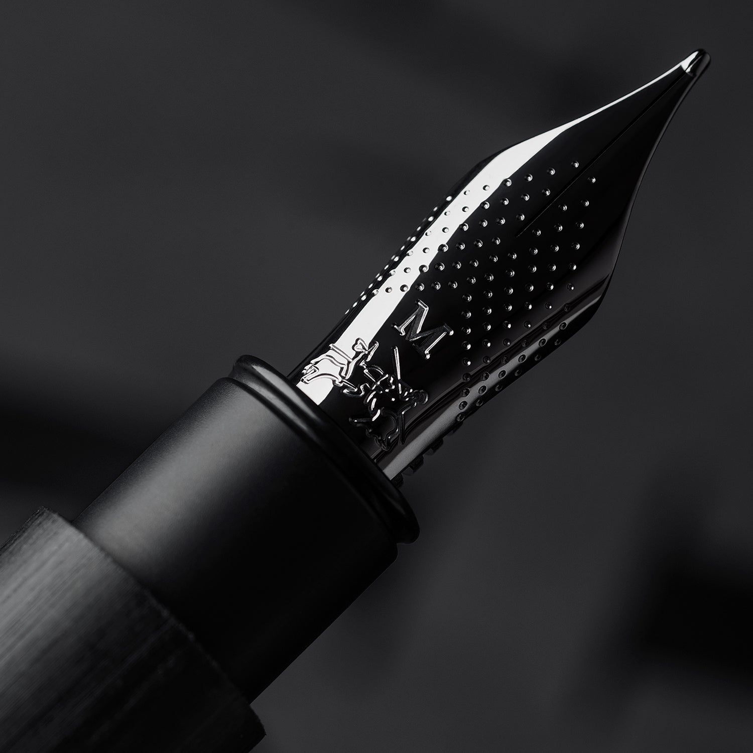 Faber-Castell Ambition Fountain Pen - All Black PVD (Special Edition) F