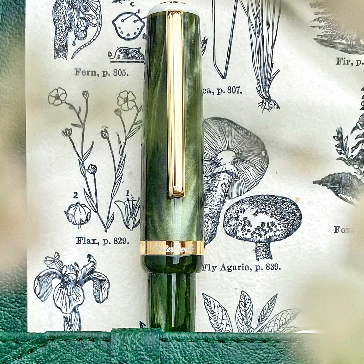 Esterbrook JR Pocket Fountain Pen - Palm Green GT Medium